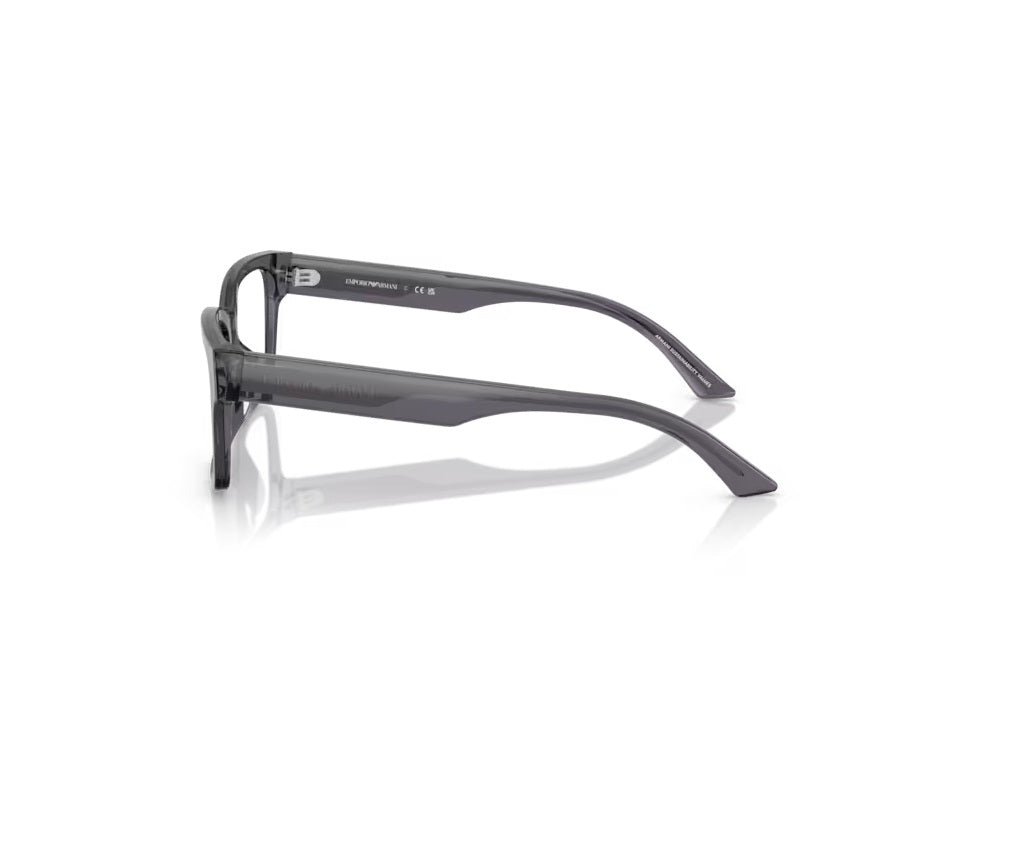 Emporio Armani 3245U 6106