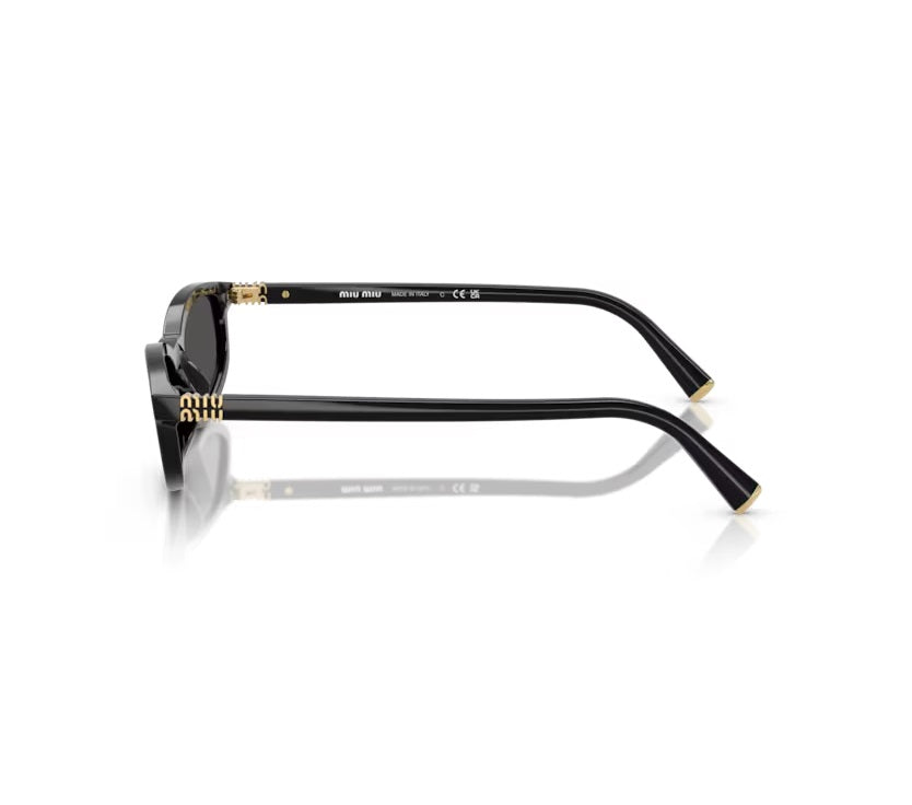Miu Miu A06S Black
