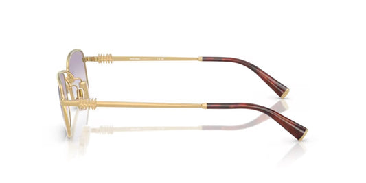 Miu Miu Slim Metal 5AK