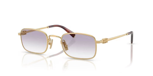 Miu Miu Slim Metal 5AK
