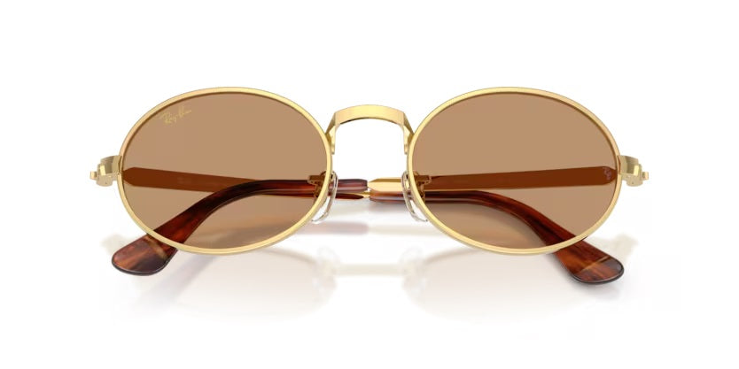 Ray-Ban 3931 001/53