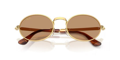 Ray-Ban 3931 001/53