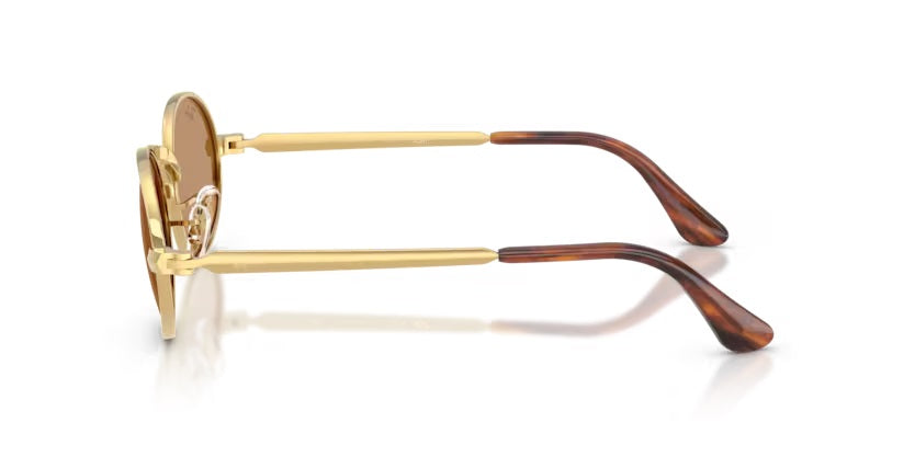 Ray-Ban 3931 001/53