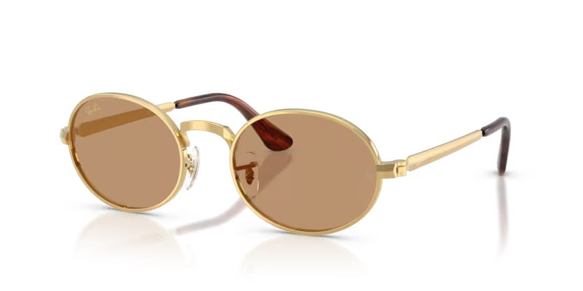 Ray-Ban 3931 001/53